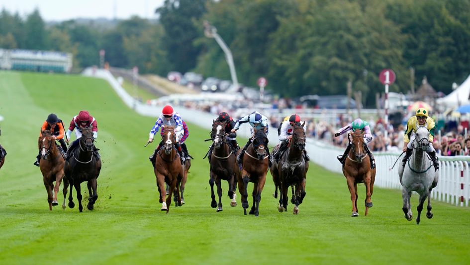 Lord Riddiford (right) is in charge at Goodwood - again