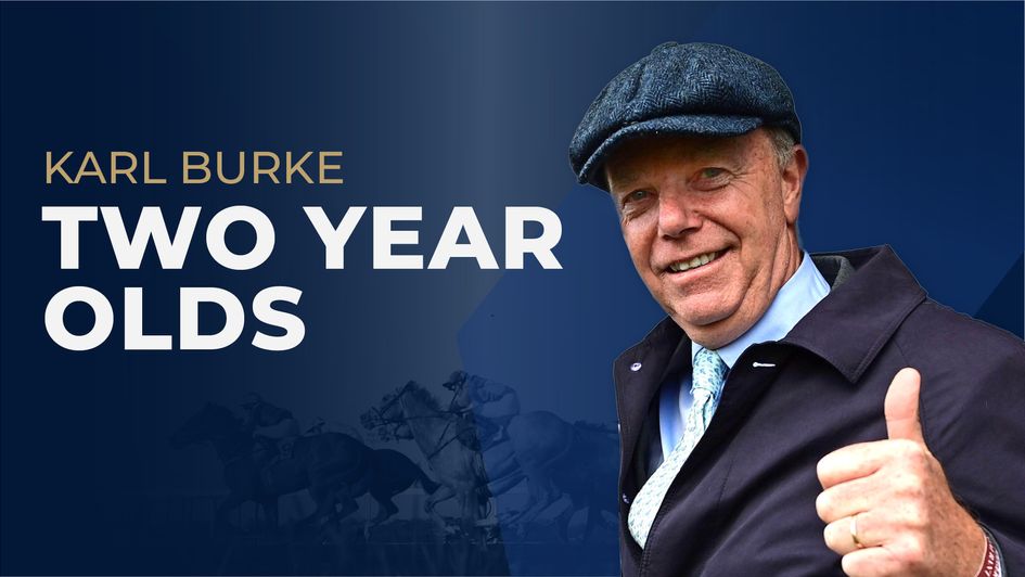 Karl Burke Two-Year-Old Guide