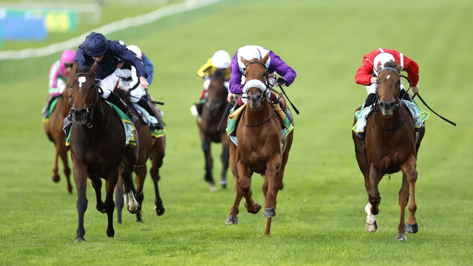 Ylang Ylang wins at Newmarket