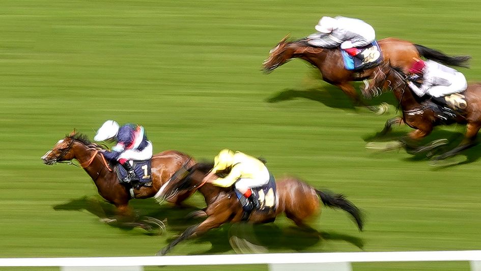 Sir Busker swoops at Royal Ascot