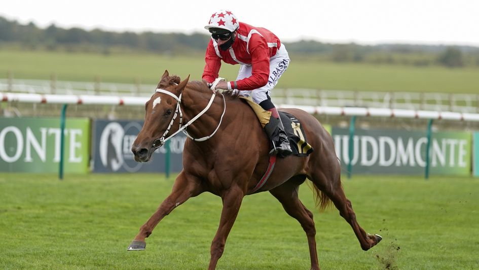 Saffron Beach wins at Newmarket