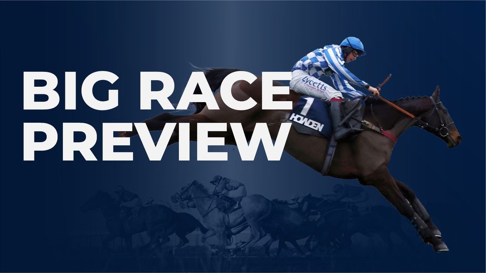 Coral Gold Cup - big-race preview