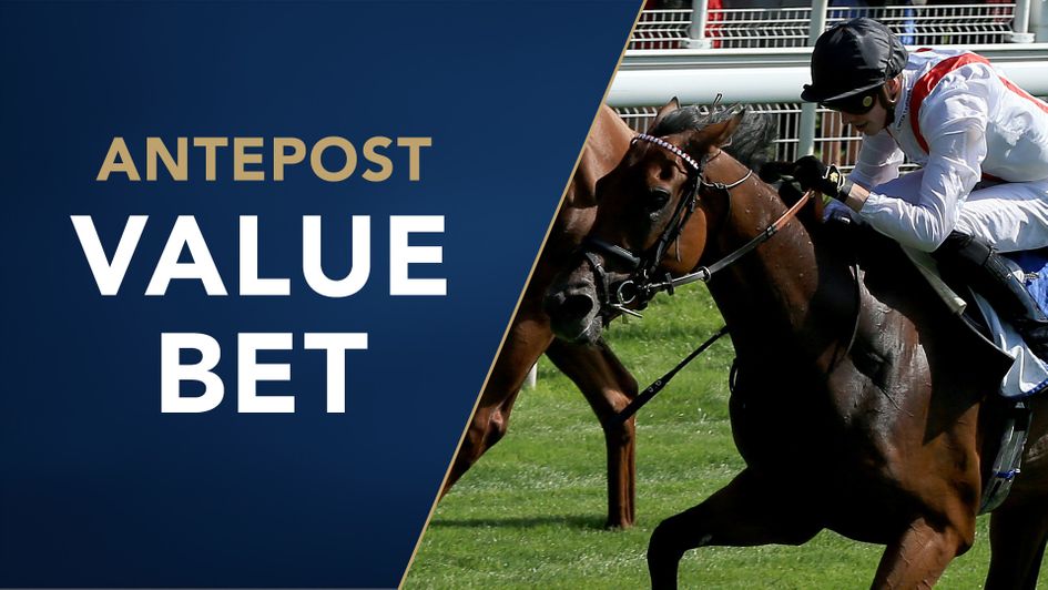 Hamish is the tip at 10/1 for the Long Distance Cup