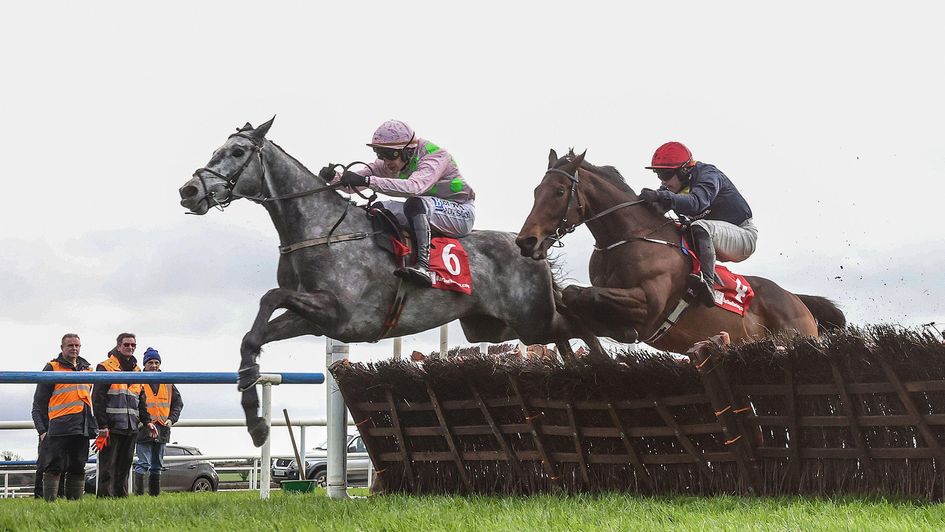 Naturally Nimble (right) comes to take the scalp of Willy De Houelle