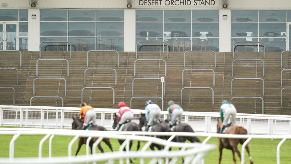 Empty stands at Cheltenham