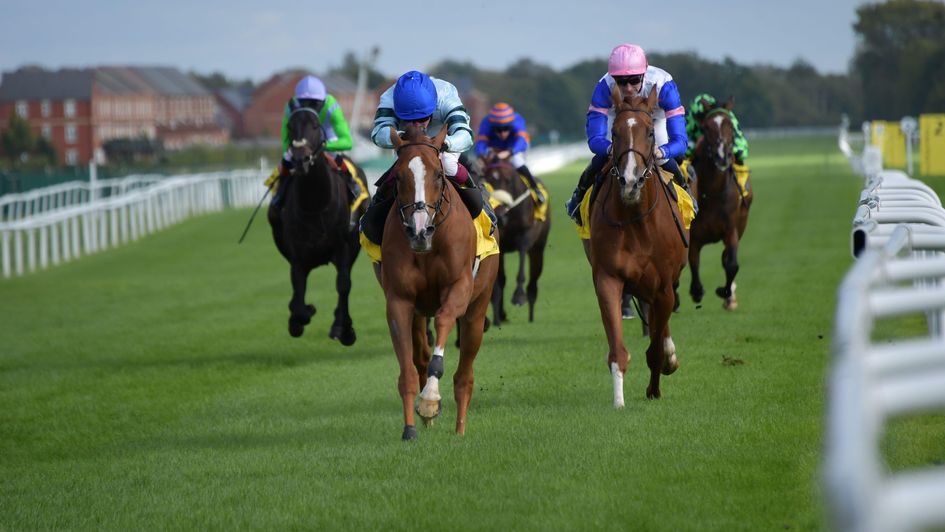 Not So Sleepy rolls back the years at Newbury