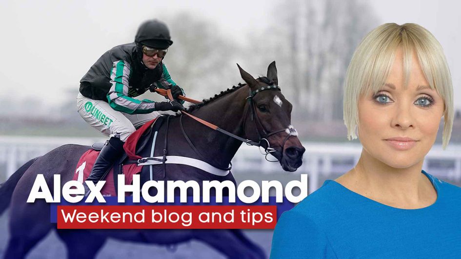 Alex Hammond looks ahead to the weekend