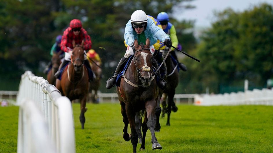 Jackfinbar makes a winning hurdling debut