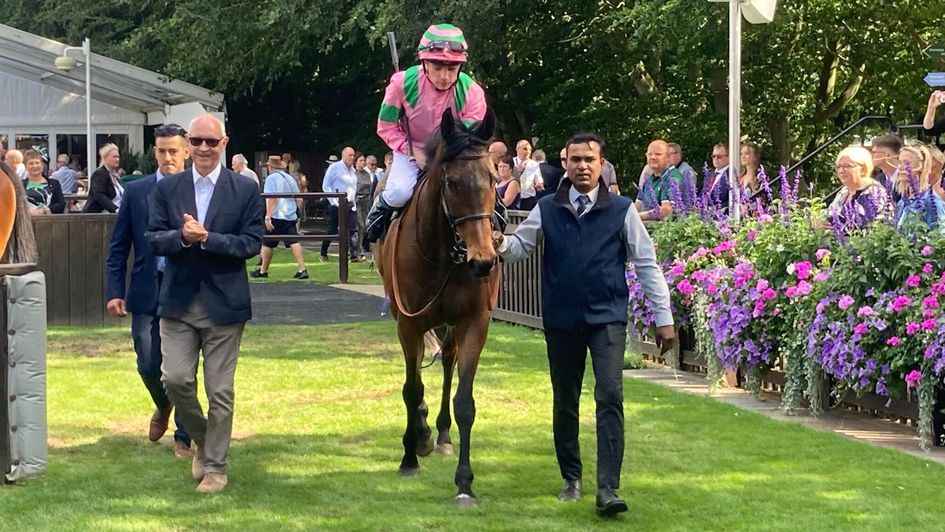 Tiger Crusade after his win at Newmarket