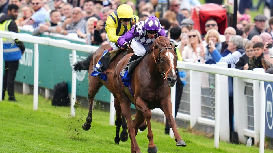 Persica wins the opener at Epsom