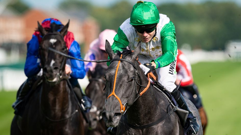 Aftermath (left) ran on well to finish runner-up on debut