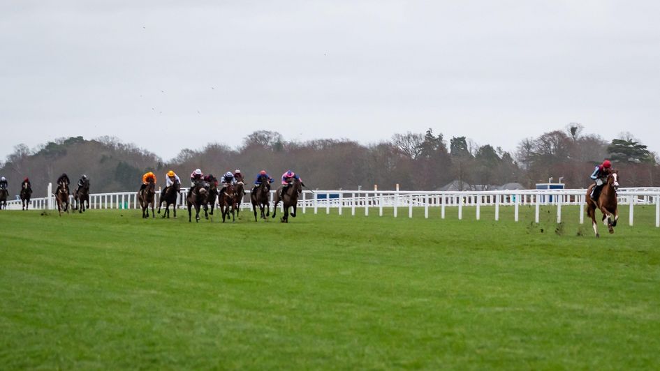 Windbeneathmywings is out on his own at Ascot