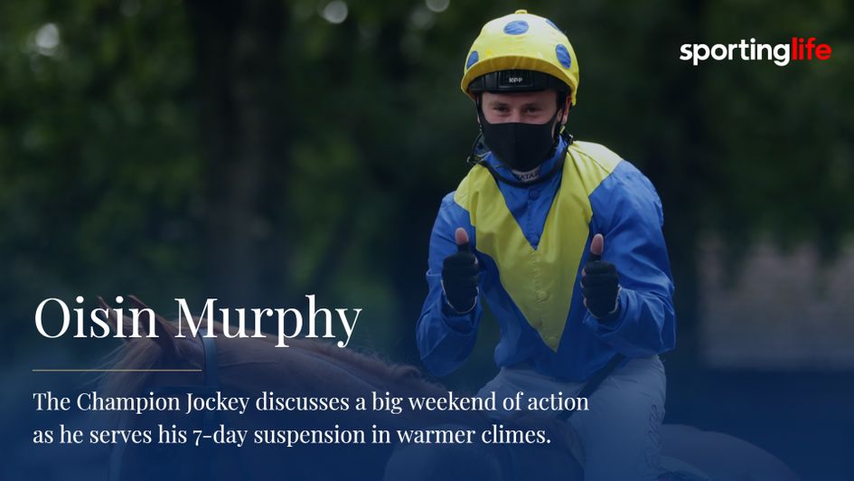 Oisin Murphy gives Dream Of Dreams the thumbs up