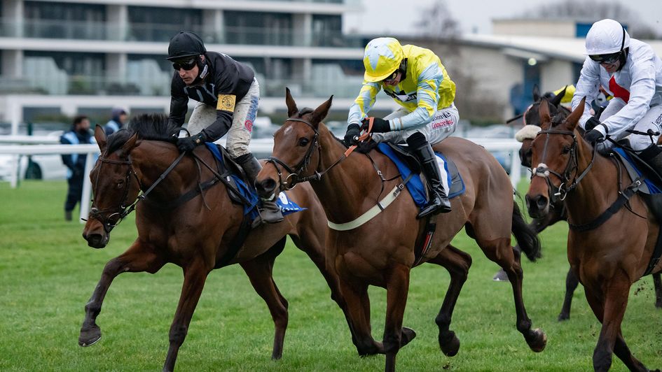 The New Lion (left) and a motionless Harry Skelton coast past their Challow Hurdle opposition