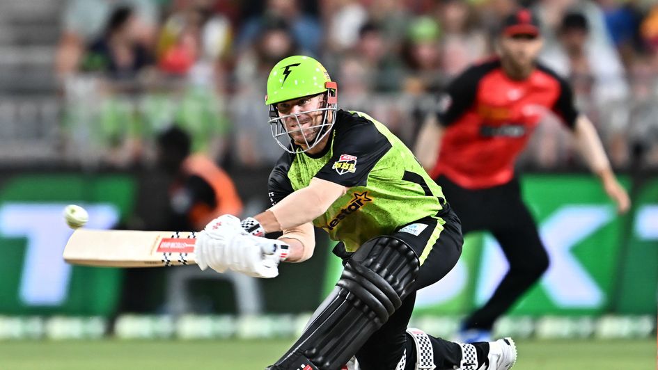 David Warner of Sydney Thunder