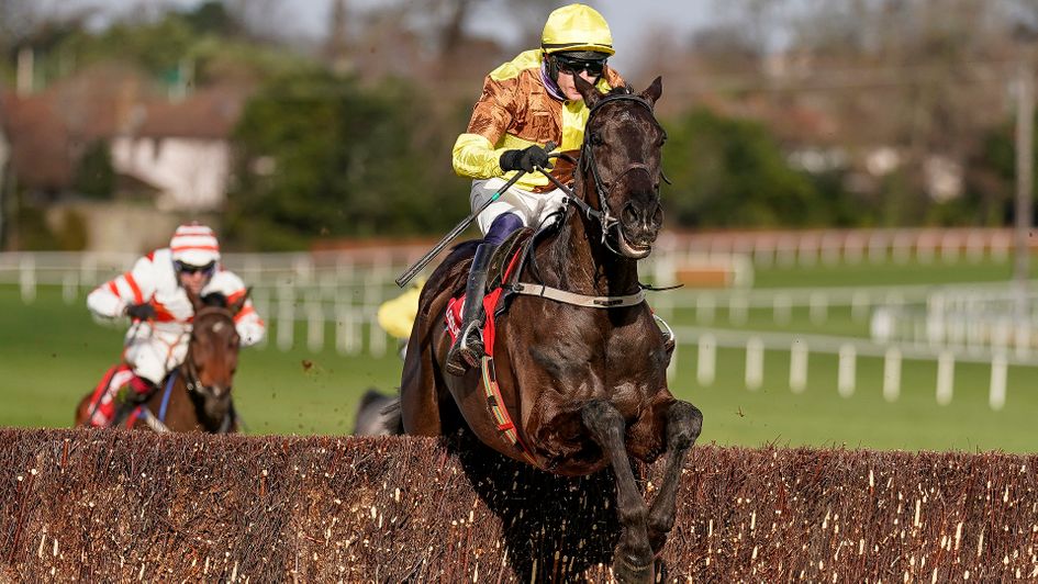 Galopin des Champs is a top-notch novice chaser