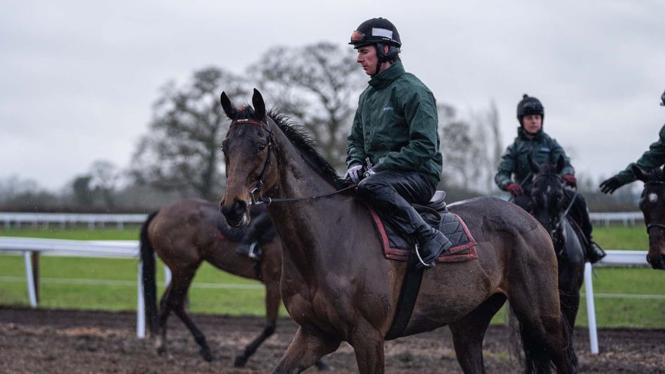 Noble Yeats (image courtesy of The Jockey Club)