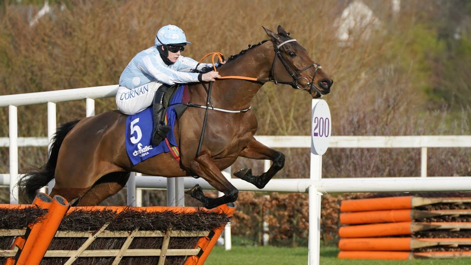 Honeysuckle jumps the last at Leopardstown