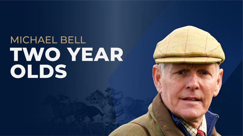 Michael Bell Two Year Old Guide