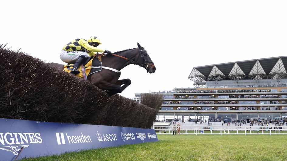 Shishkin jumps the last at Ascot