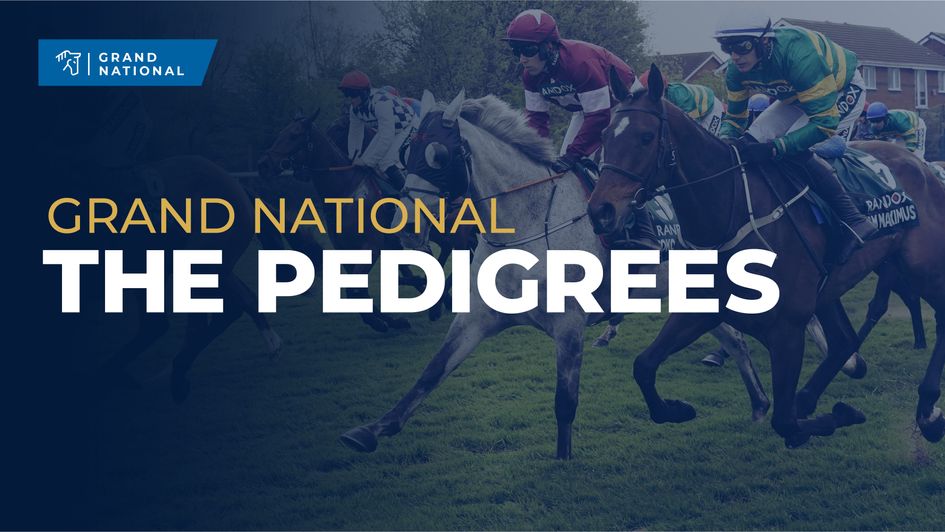 Randox Grand National pedigree guide