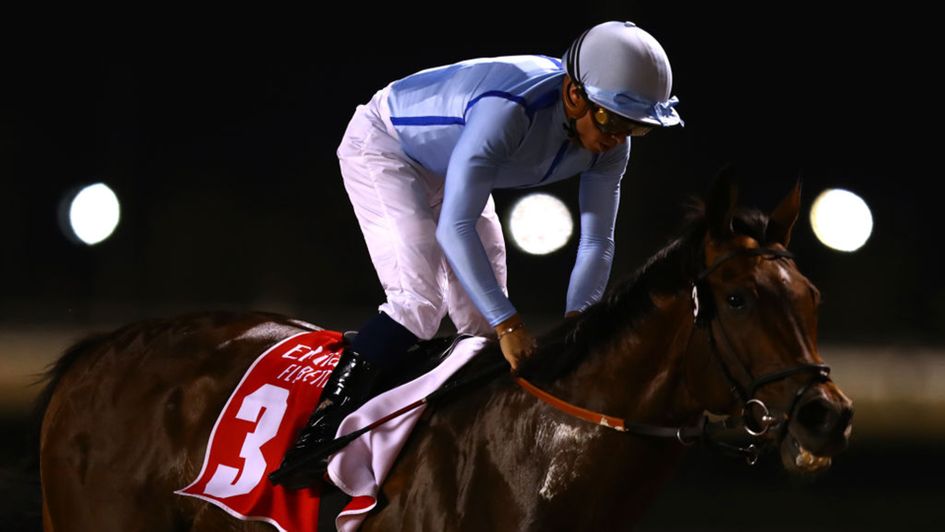 Matterhorn has taken to Dubai well