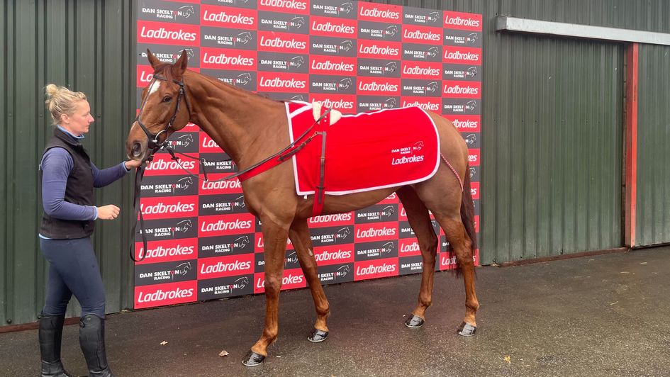 Midnight River is fancied for the Paddy Power Gold Cup