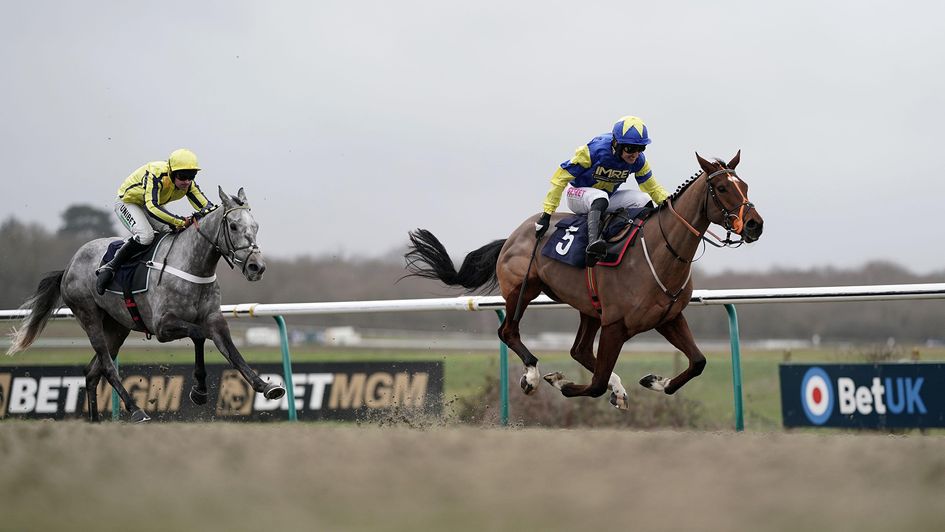 Tripoli Flyer ridden by Paddy Brennan