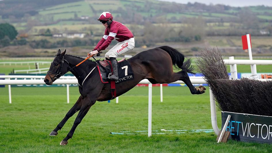 Touch Me Not ridden by jockey Sam Ewing