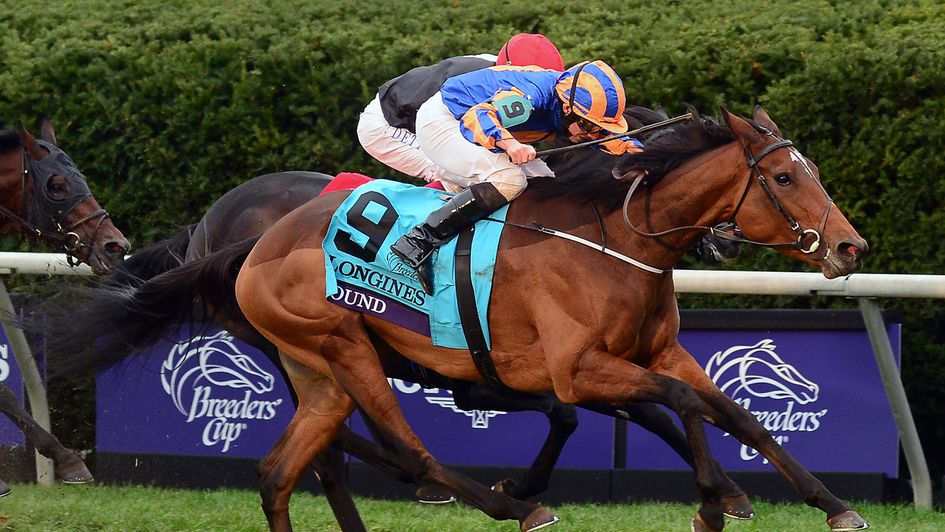 Ryan Moore and Found edge past Golden Horn in the 2015 Turf