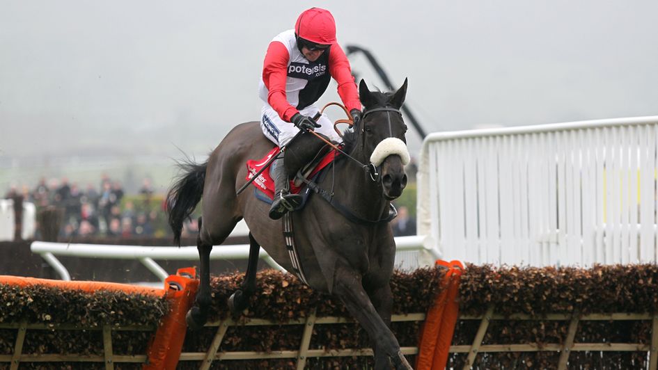 Big Buck's wins at Cheltenham for Andy Stewart