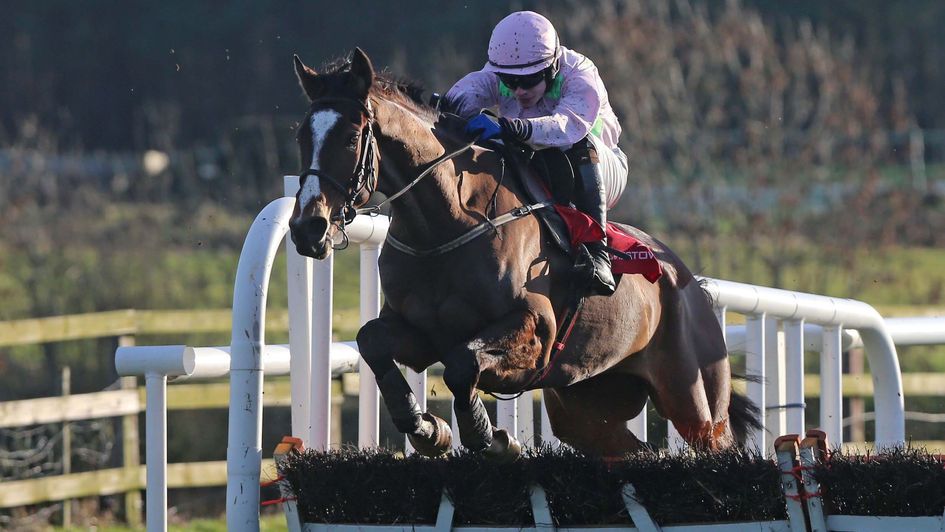 Vautour was a relatively narrow winner in 2014