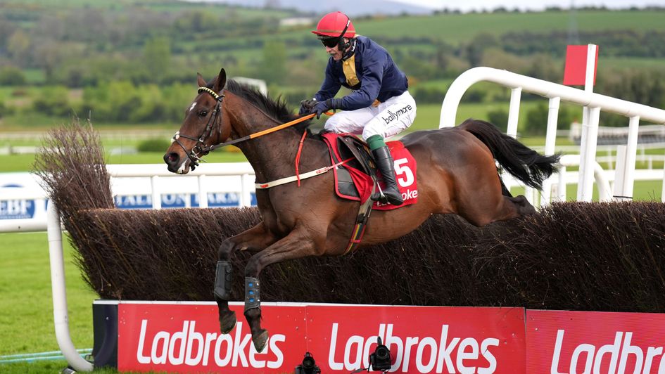 Fastorslow wins the Punchestown Gold Cup again