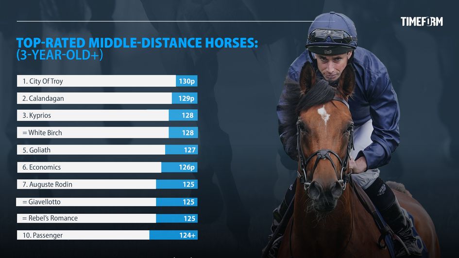 Timeform's highest-rated middle-distance horses