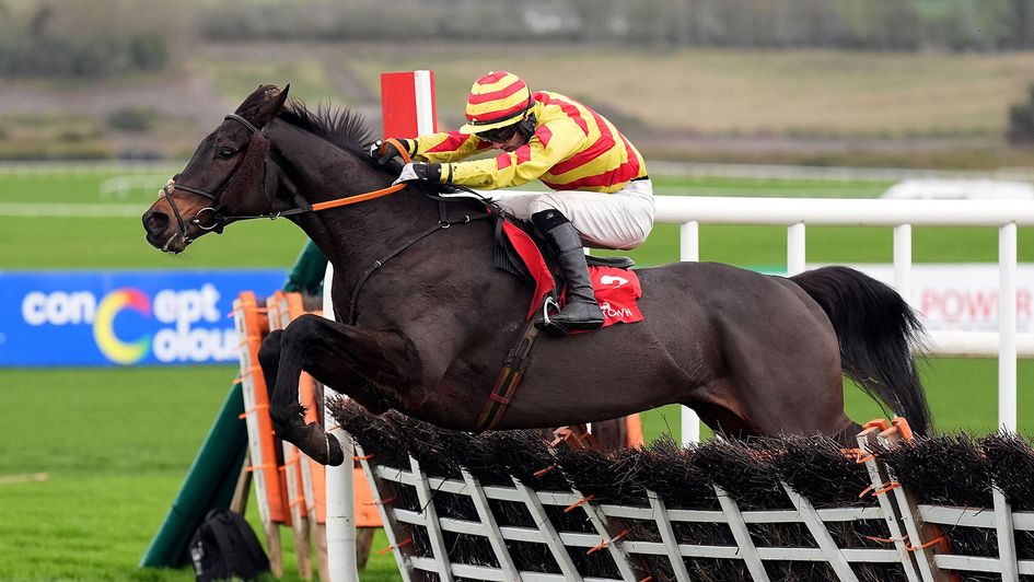 Franciscan Rock, ridden by jockey Gavin Brouder