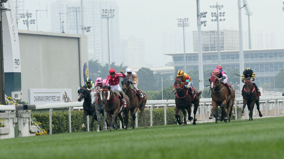 Big Time Baby (yellow and brown cap) finishing second to Mr Stunning