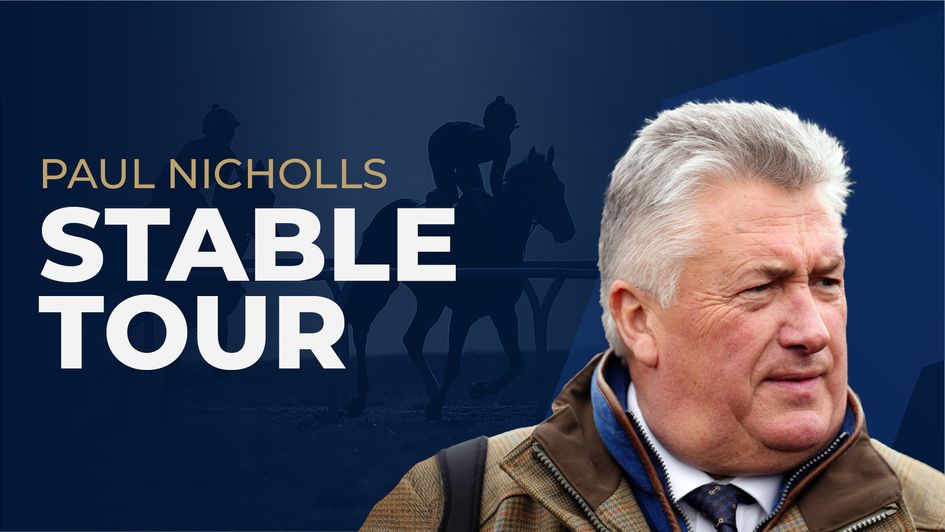 Paul Nicholls Stable Tour