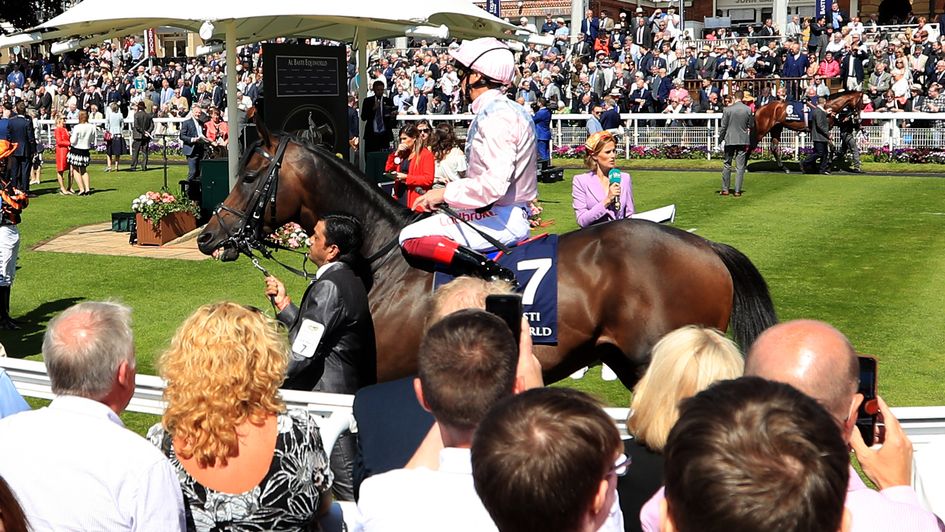 Too Darn Hot in the parade ring before the Dante