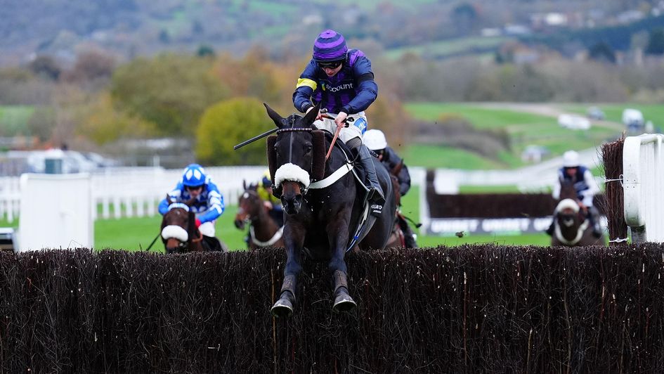 Abuffalosoldier sadly lost his life after winning at Cheltenham