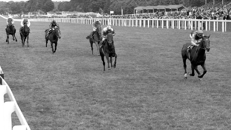 Nijinsky storms clear to win at Ascot