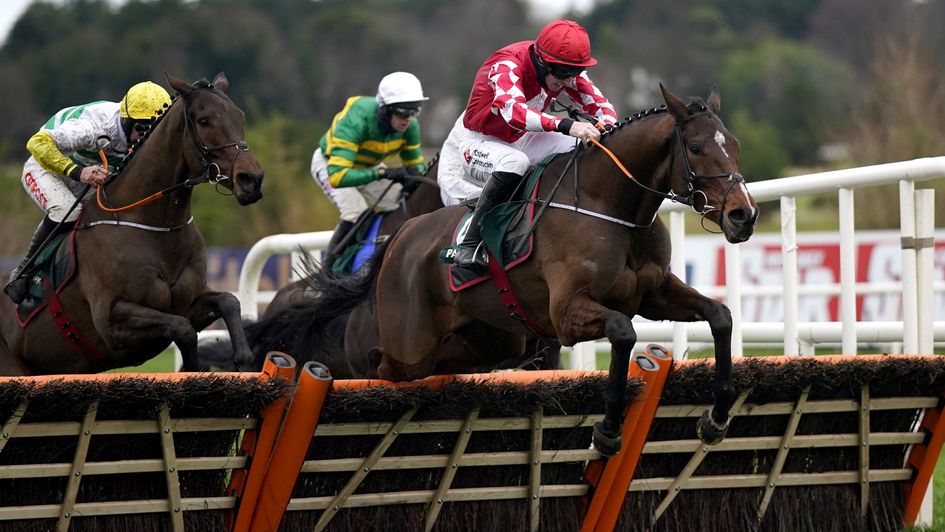 Mighty Potter jumps the last at Leopardstown