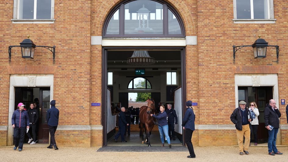 A general view as a horse leaves the sales ring after being sold at Tattersalls