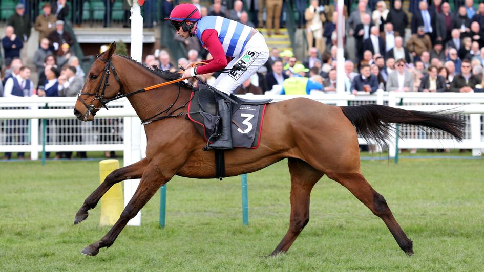 Thunder Rock - may revert to hurdles