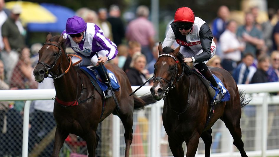 Megallan wins at Salisbury