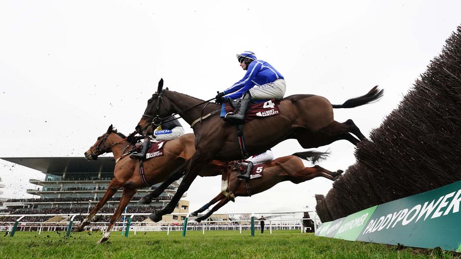 Energumene in action at Cheltenham