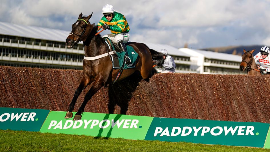 Chantry House jumps the last at Cheltenham in the Paddy Power Cotswold Chase