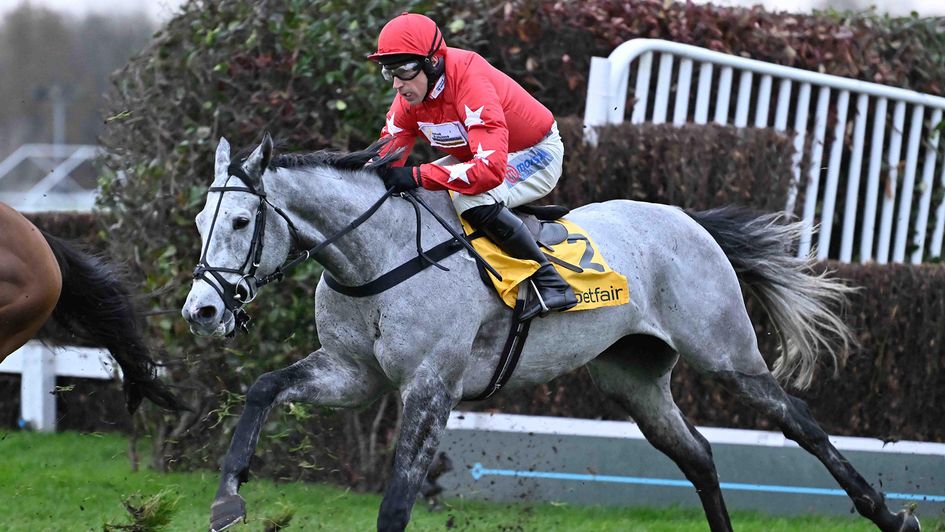 L'eau Du Sud, Arkle contender