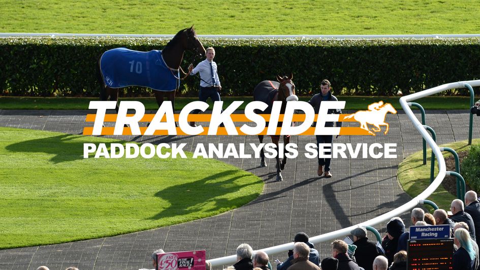 Get live paddock updates from Doncaster