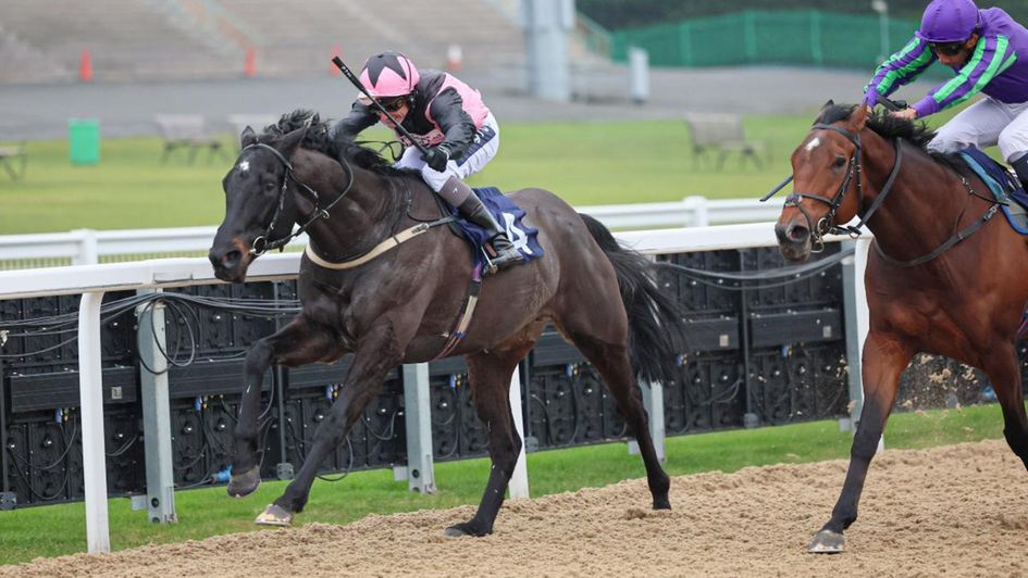 Midnight Lion winning at Newcastle in December (credit Grossick Racing Photography)