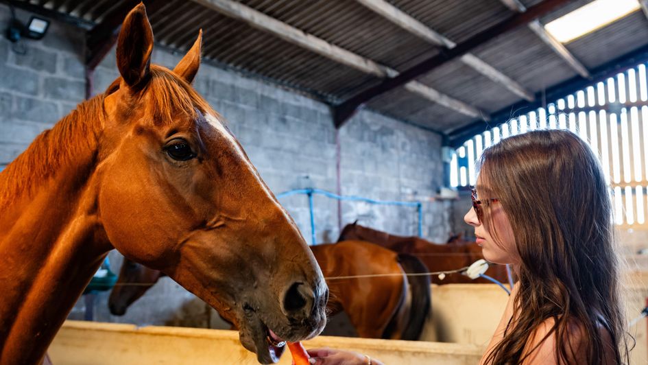 National Racehorse Week returns